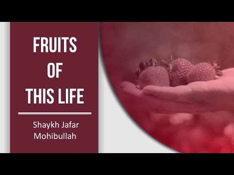 Fruits of this Life | Shaykh Jafar Mohibullah | English
