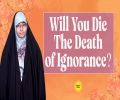 Will You Die The Death of Ignorance? | Me, You, & Imam Mahdi (A) | English