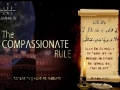 Words of Wisdom | The Compassionate Rule (Valayat ul Faqeeh) - English